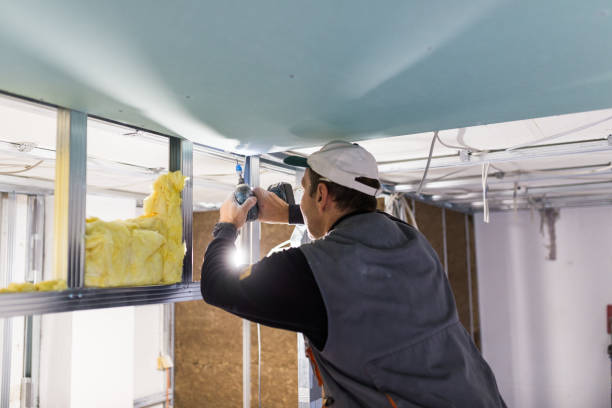 Best Basement Insulation  in Birchwood Lakes, PA