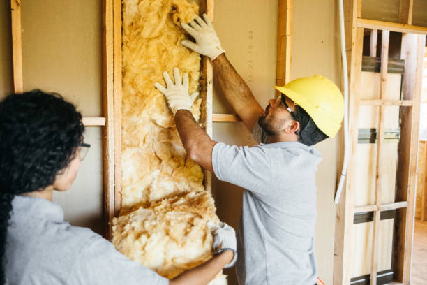 Best Commercial Insulation Services  in Birchwood Lakes, PA